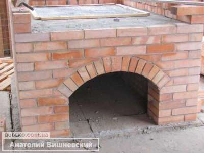 Печник Анатолий Вишневский - фото №4